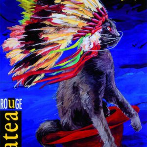 Affiche Château Rouge 1996-97