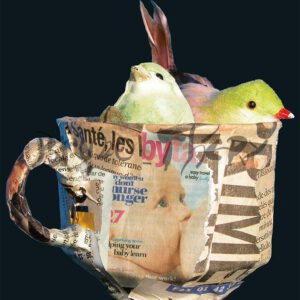 Affiche Docencourt 2009